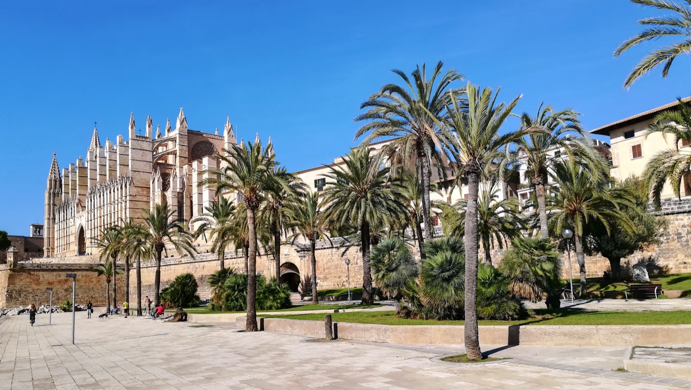 El paseo junto a la catedral de Palma, con palmeras y cielo azul